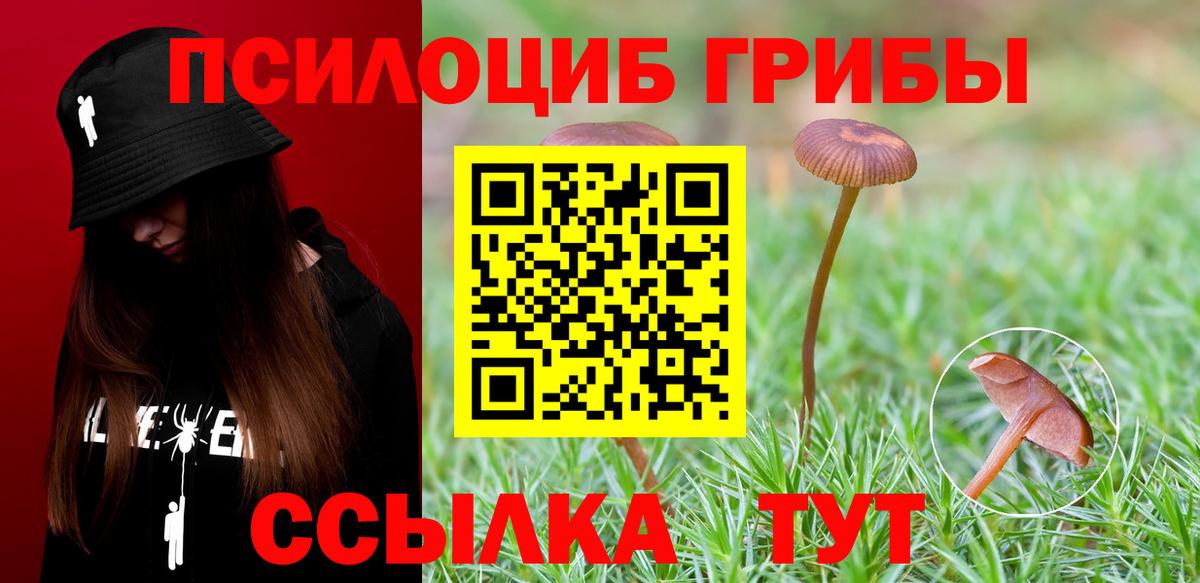 Псилоцибиновые грибы Psilocybine cubensis  Вход с VPN  Лесосибирск  Галлюциногенные грибы Magic Shrooms 